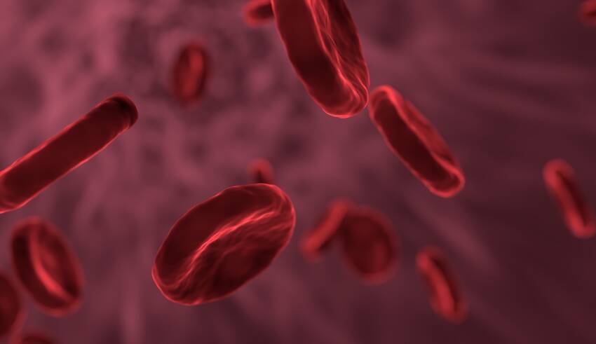 anemia niedobor czerownych krwinek